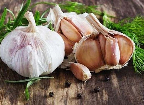 تصویر 2 از قیمت خرید سیر صادراتی درجه یک عمده به صرفه و ارزان
